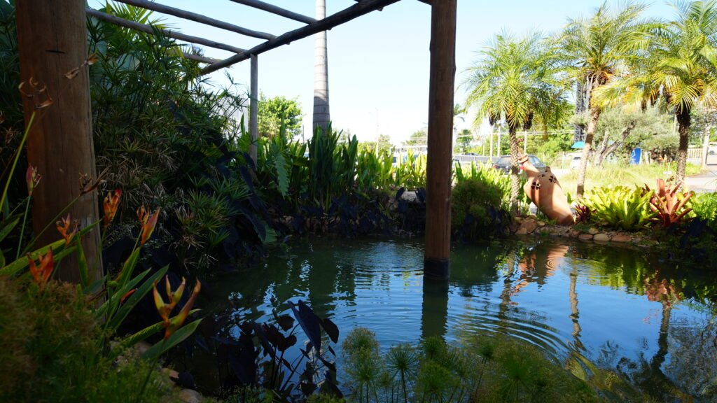 Sobre nós DF Plantas em Brasília com história, qualidade e compromisso