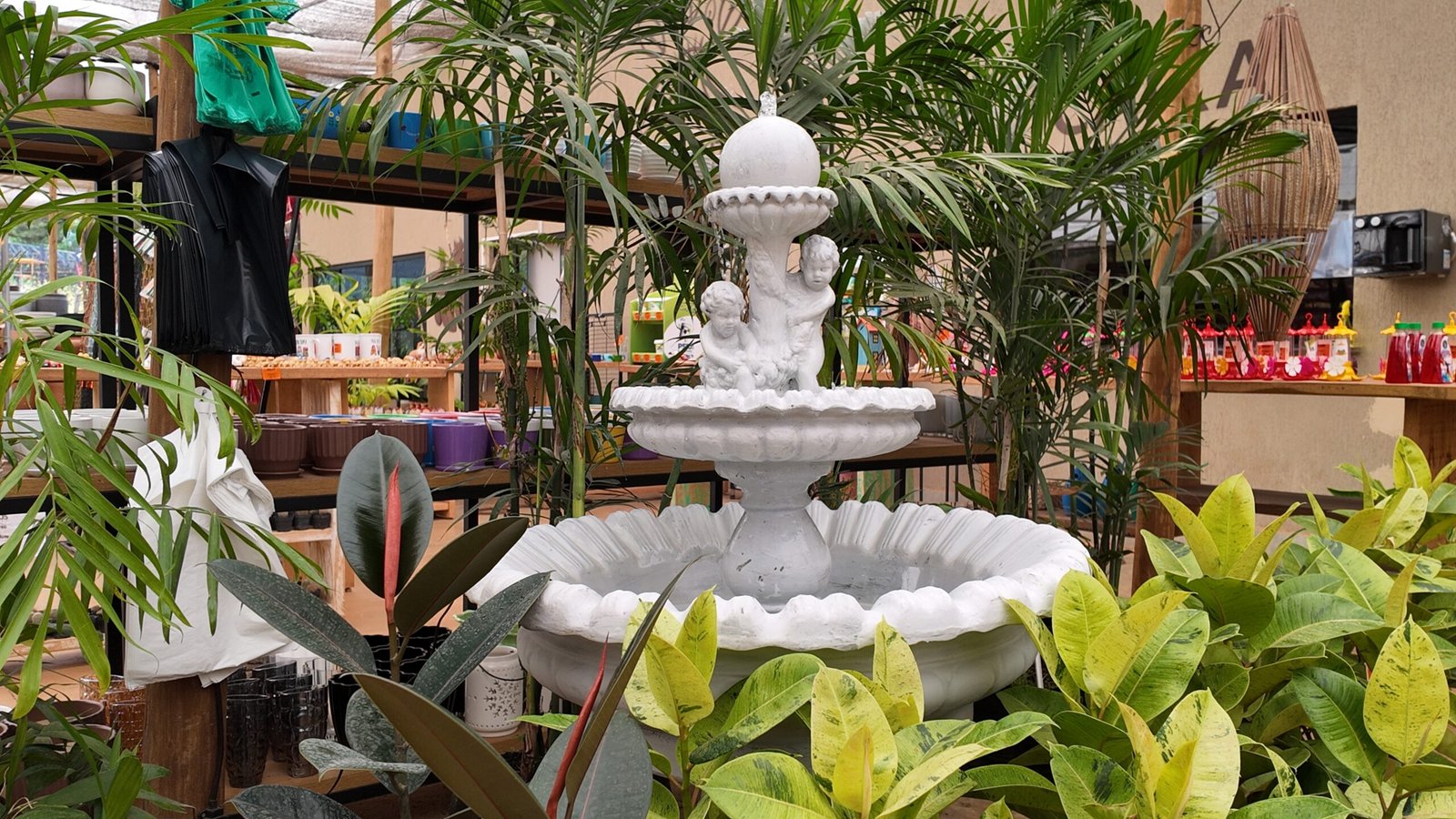 Decorações para jardins em Brasília da DF Plantas para áreas internas e externas