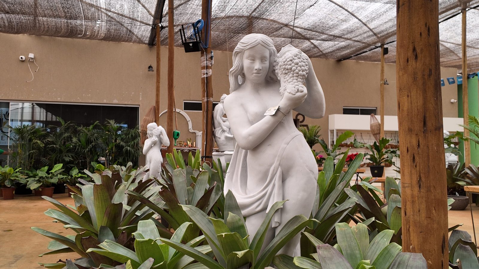 Decorações para jardins em Brasília da DF Plantas para áreas internas e externas