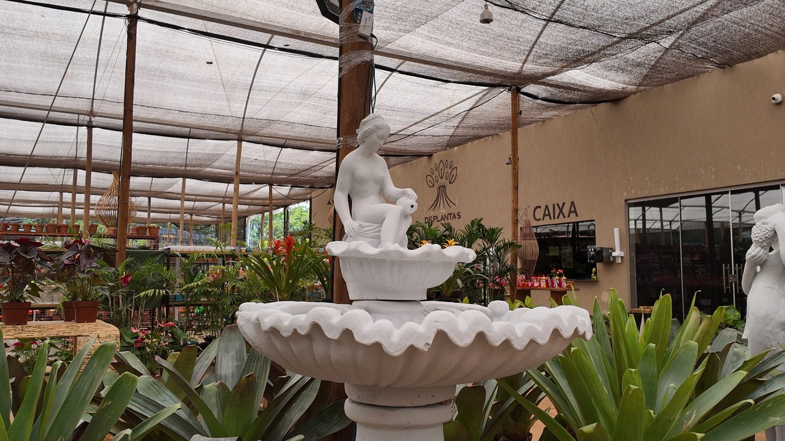 Decorações para jardins em Brasília da DF Plantas para áreas internas e externas