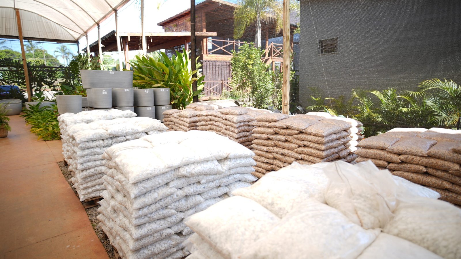 Insumos para plantas em Brasília da DF Plantas para cultivo e jardinagem