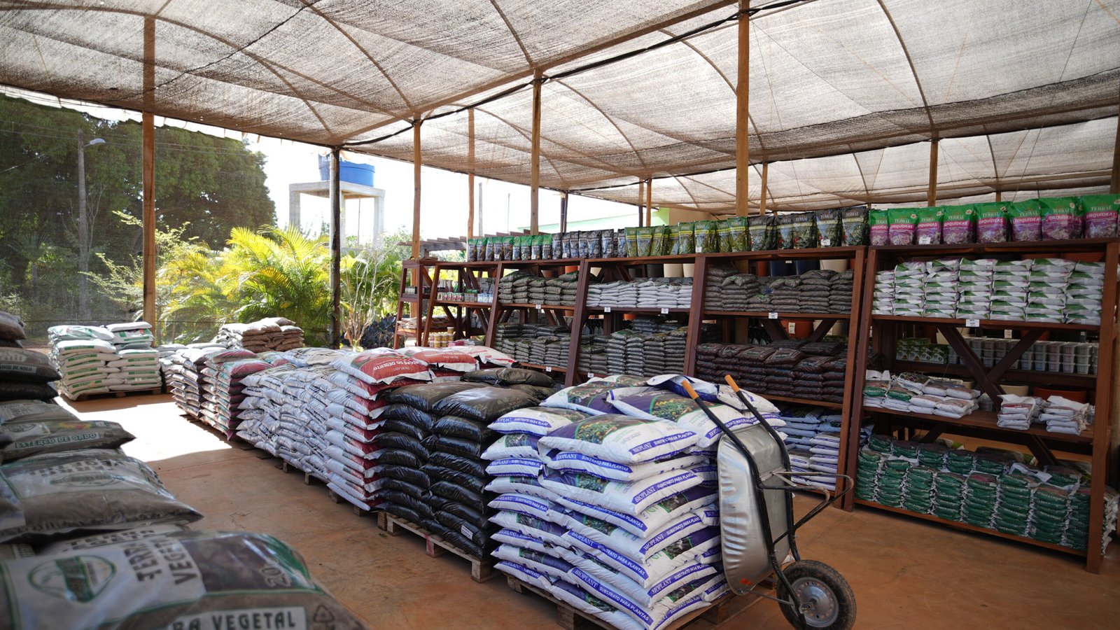 Insumos para plantas em Brasília da DF Plantas para cultivo e jardinagem
