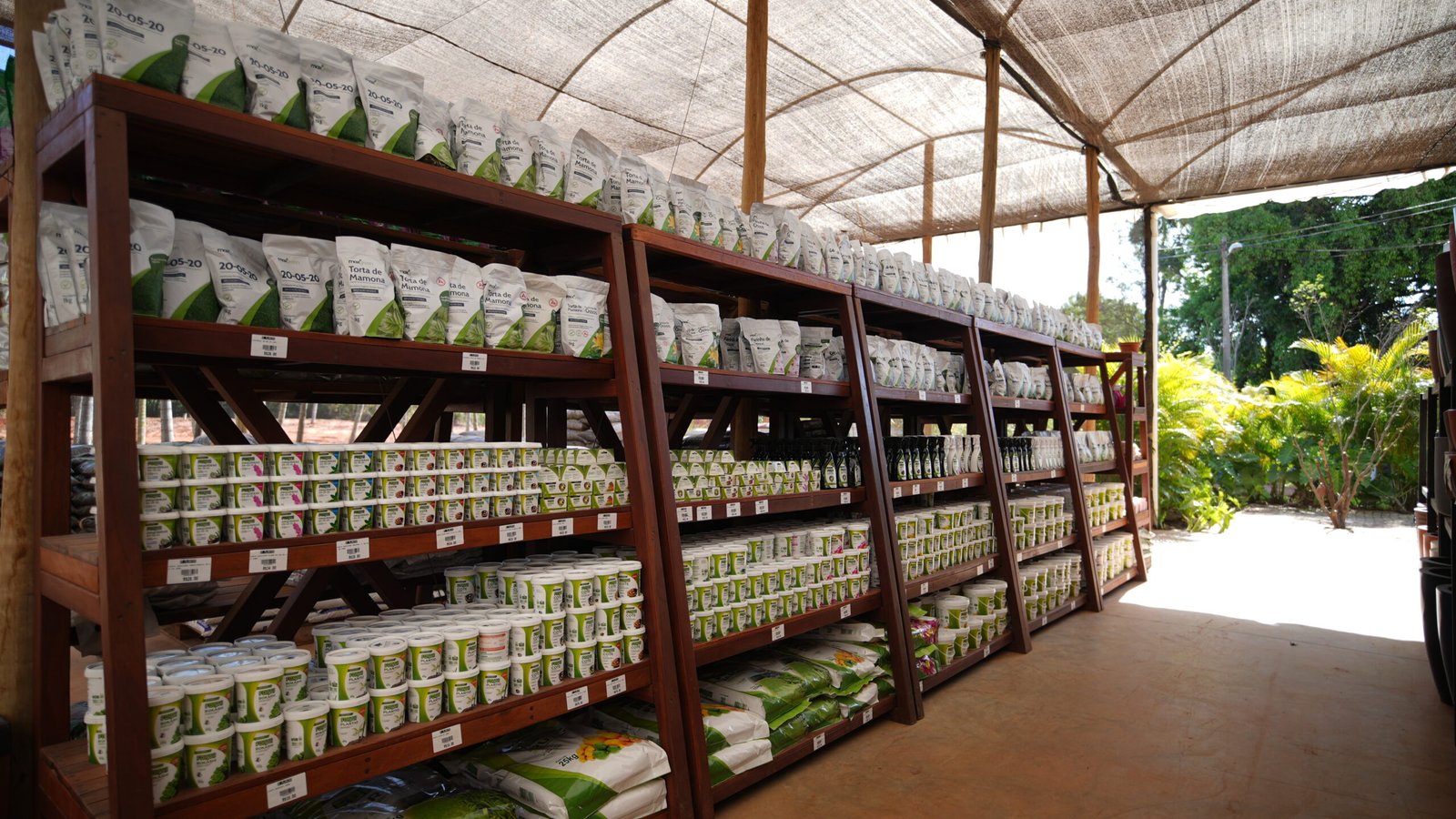 Insumos para plantas em Brasília da DF Plantas para cultivo e jardinagem