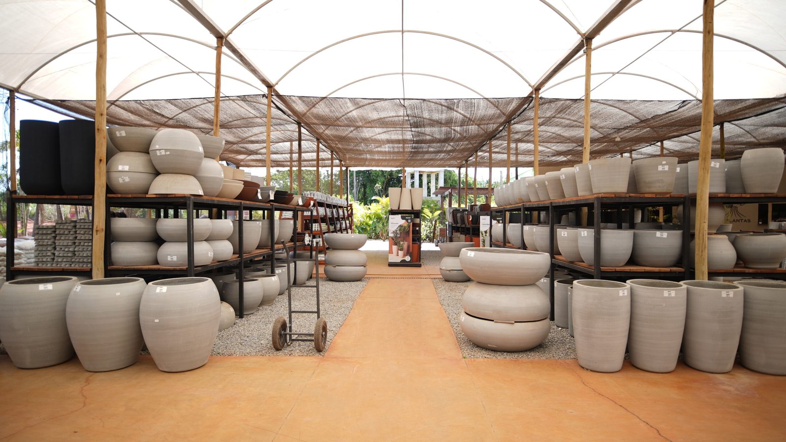 Vasos decorativos em Brasília da DF Plantas para jardins e interiores