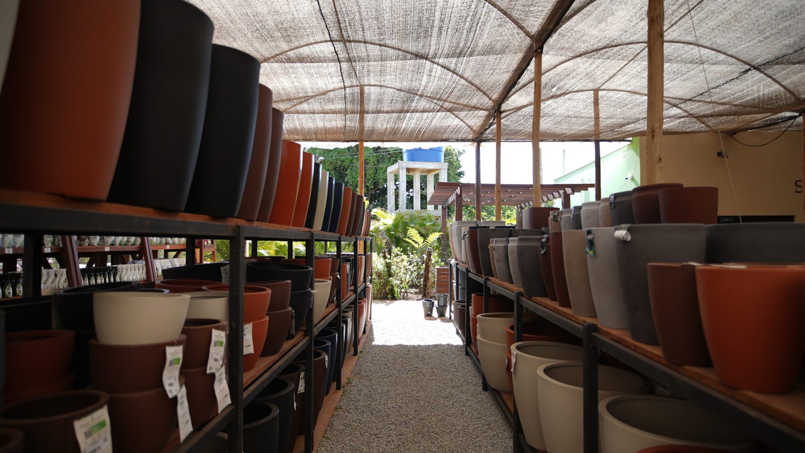 Vasos decorativos em Brasília da DF Plantas para jardins e interiores